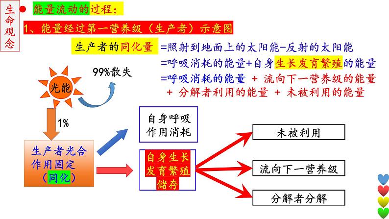 2023届高三生物一轮复习课件 生态系统的结构和功能及其稳定性2【能量流动】第5页