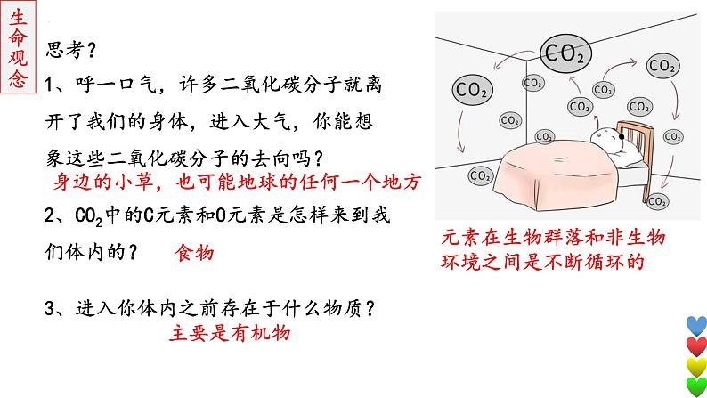 2023届高三生物一轮复习课件 生态系统的结构和功能及其稳定性3【物质循环】第4页