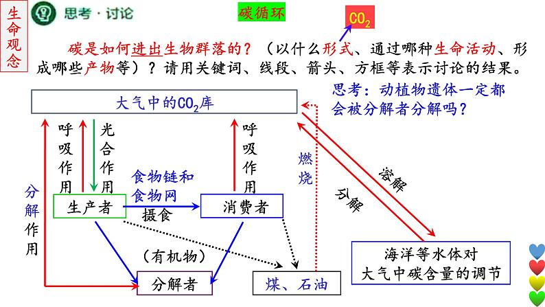 2023届高三生物一轮复习课件 生态系统的结构和功能及其稳定性3【物质循环】第7页