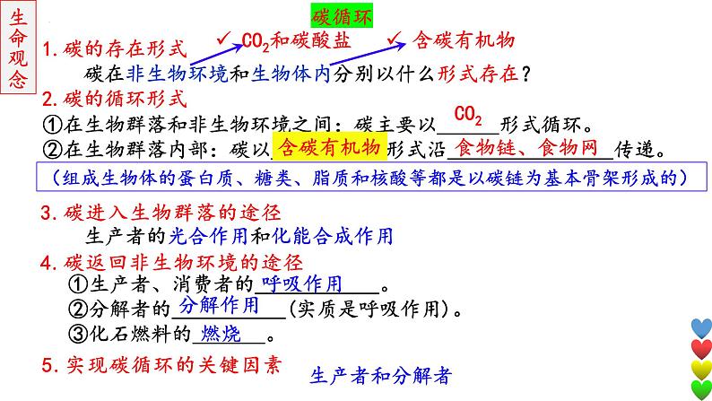 2023届高三生物一轮复习课件 生态系统的结构和功能及其稳定性3【物质循环】第8页