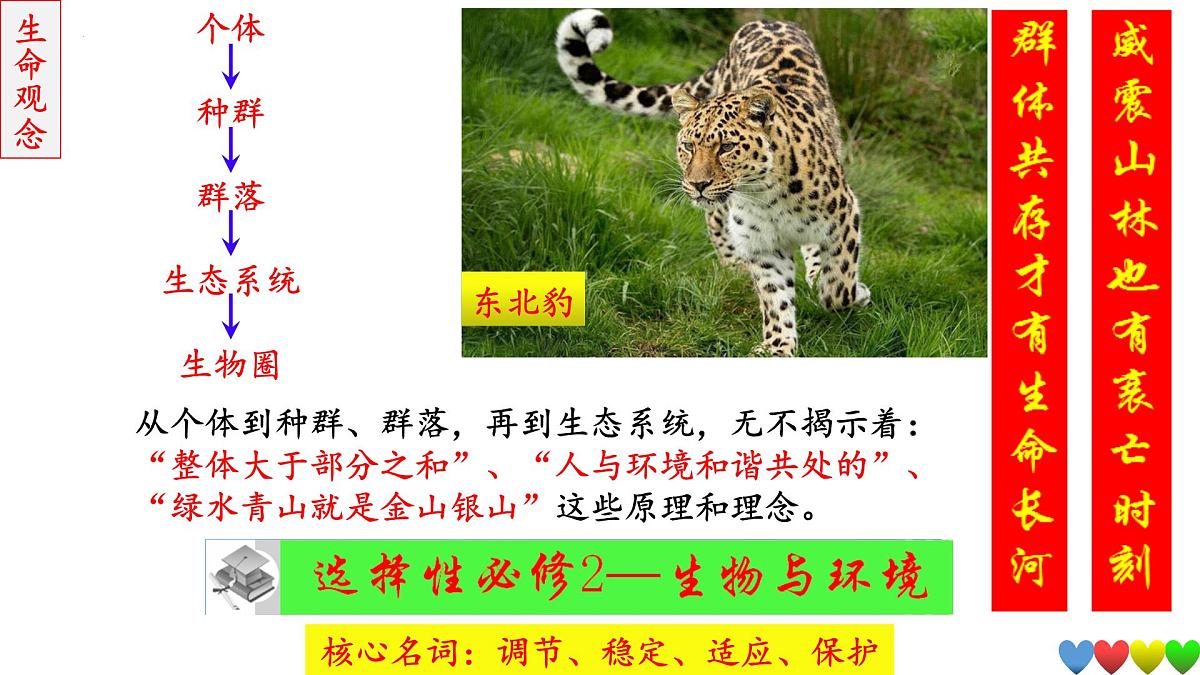 2023届高三生物一轮复习课件 种群及其动态第1页