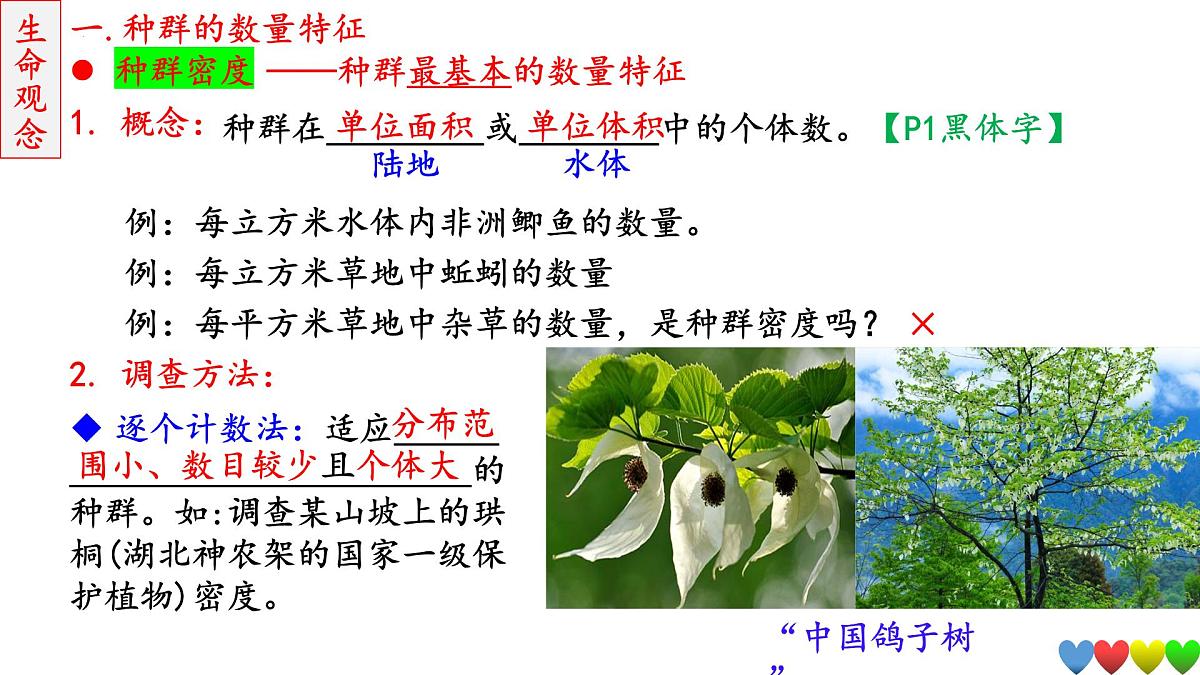 2023届高三生物一轮复习课件 种群及其动态第5页
