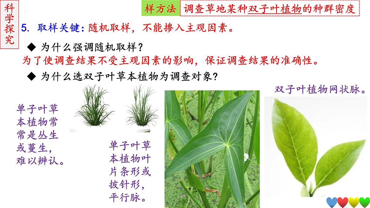 2023届高三生物一轮复习课件 种群及其动态第8页