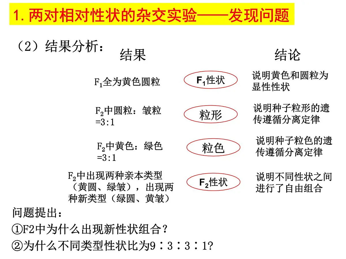 2023届高三生物一轮复习课件： 基因的自由组合定律第4页