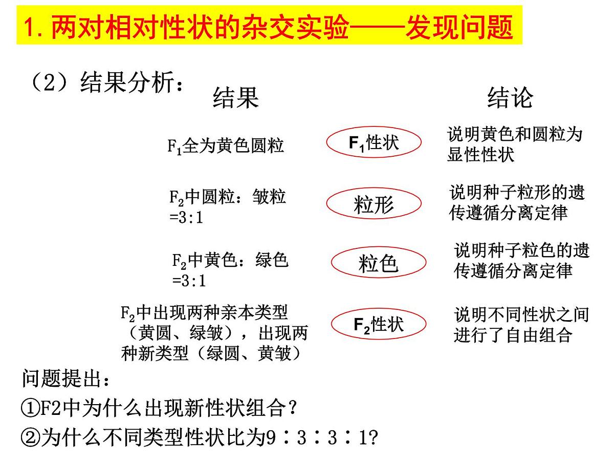 2023届高三生物一轮复习课件： 基因的自由组合定律第4页
