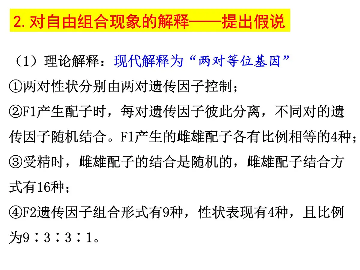 2023届高三生物一轮复习课件： 基因的自由组合定律第5页