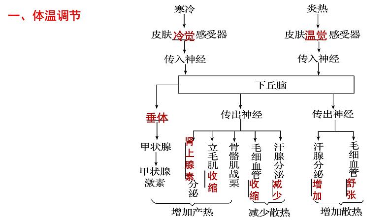 2023届高三生物一轮复习课件：人体的体温调节和水盐调节第6页