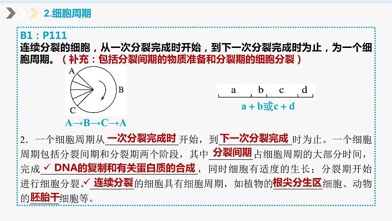 2023届高三生物一轮复习课件：细胞增殖第4页