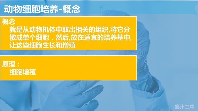 2023届高三生物一轮复习课件动物细胞工程第6页