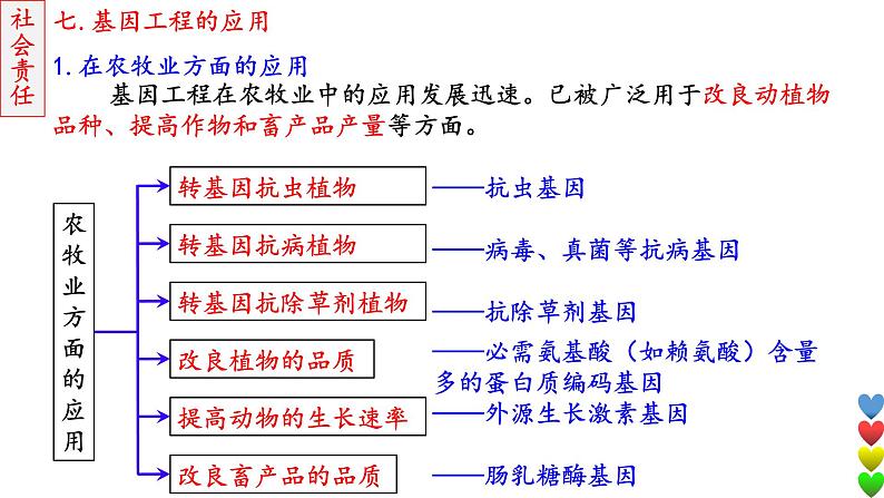 2023届高三生物一轮复习课件基因工程3【应用及蛋白质工程】第4页