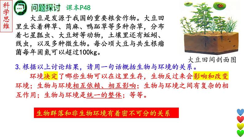 2023届高三生物一轮复习课件生态系统的结构和功能及其稳定性1【结构】第4页