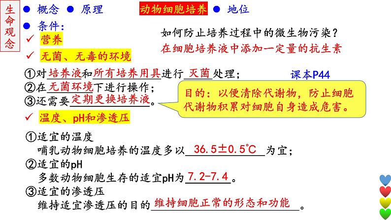 2023届高三生物一轮复习课件细胞工程【动物】第7页