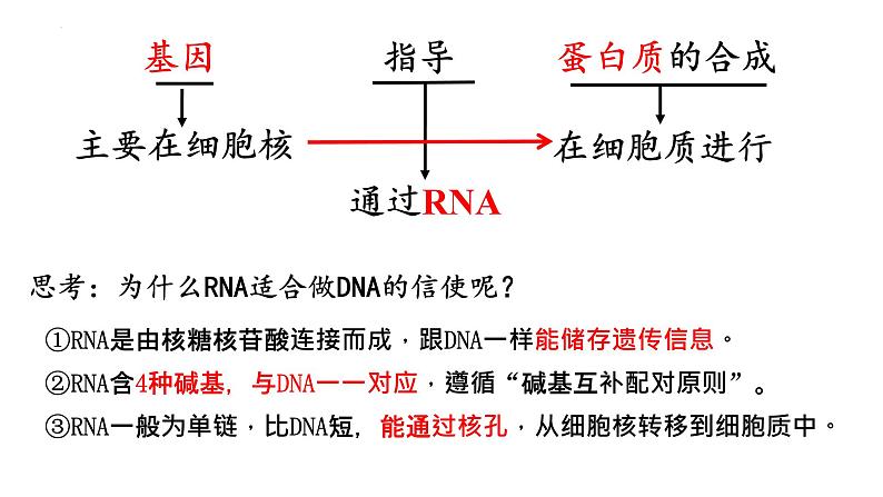 2023届高三生物一轮复习课件遗传信息的传递与表达课时2第2页