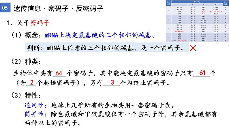 2023届高三生物一轮复习课件遗传信息的传递与表达课时2第6页