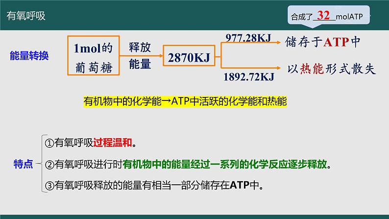 2024届高三生物一轮复习：第7讲 细胞呼吸 课件第6页