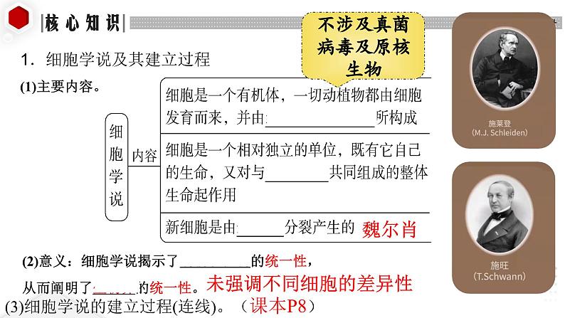 2024届高三生物一轮复习课件 第1讲 走近细胞第3页