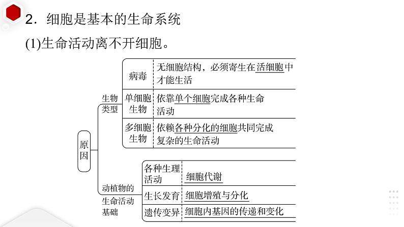 2024届高三生物一轮复习课件 第1讲 走近细胞第5页