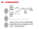 2024届高三生物一轮复习课件 第4讲 细胞核