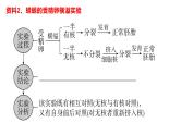 2024届高三生物一轮复习课件 第4讲 细胞核