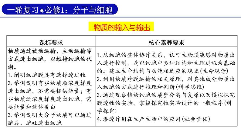 2024届高三生物一轮复习课件 第5讲 物质的输入与输出第3页