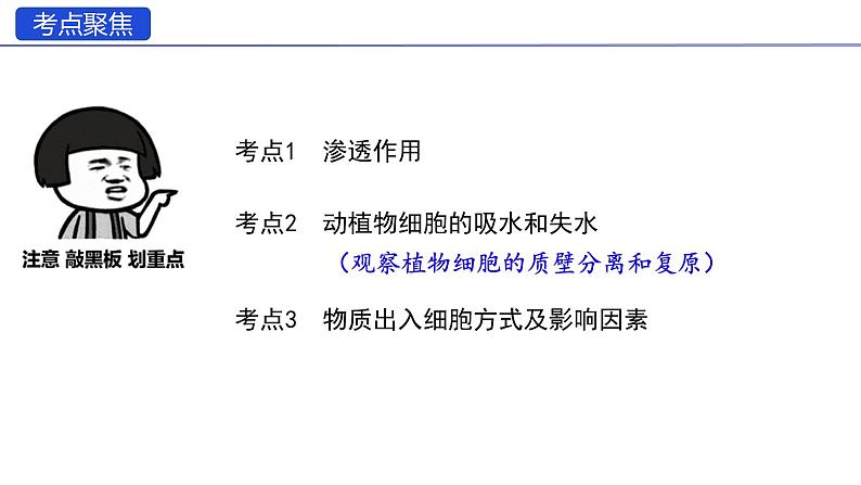 2024届高三生物一轮复习课件 第5讲 物质的输入与输出第4页