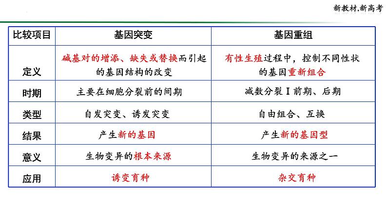 2024届高三生物一轮复习课件基因重组第7页