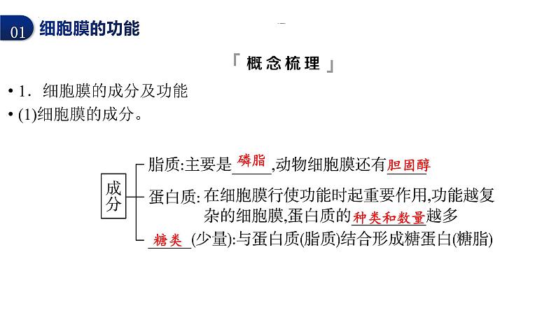 2024届高三生物一轮复习课件细胞膜的结构与功能第4页