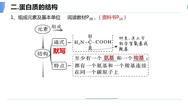 2024届高三生物一轮复习课件蛋白质和核酸第6页