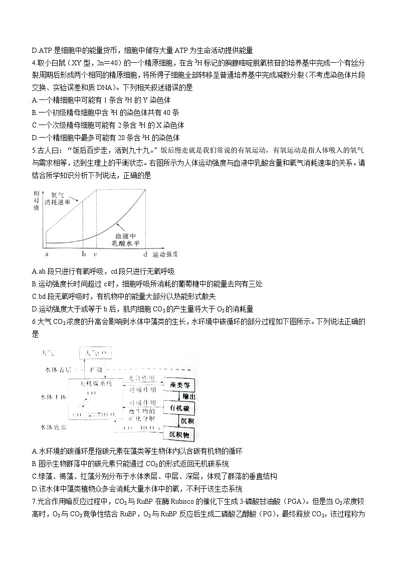 2023届湖南省衡山县二中高三第三次模拟生物试题(无答案)第2页