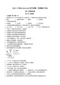 安徽省安庆市二中2022-2023+学年高二上学期期中生物试题