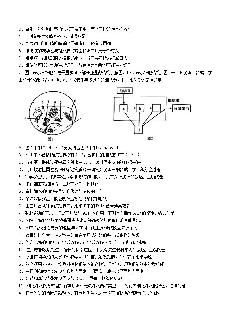 河南省安阳市2022-2023学年高一上学期期末生物试题第2页