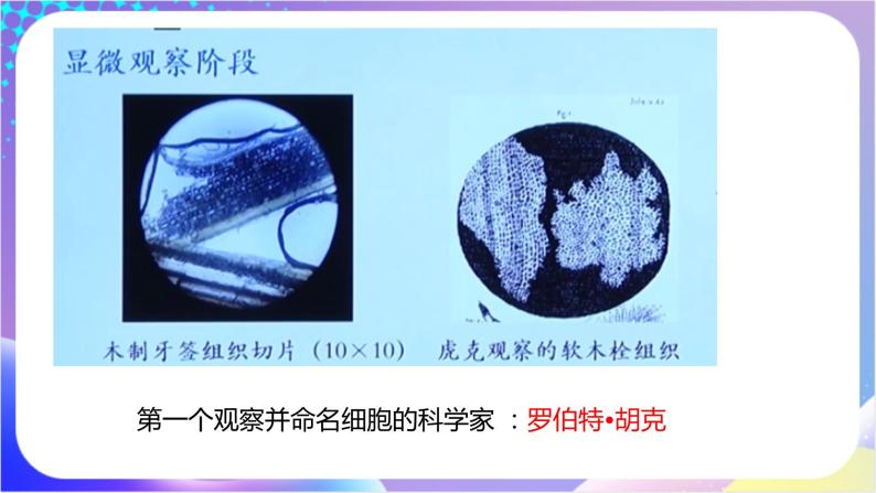 人教版高中生物必修一 1.1《细胞是生命活动的基本单位》（课件）08