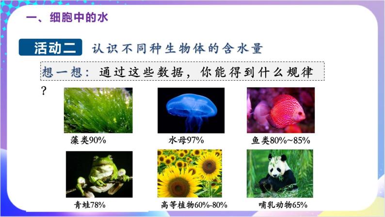 人教版高中生物必修一 2.2《细胞中的无机物》（课件)04