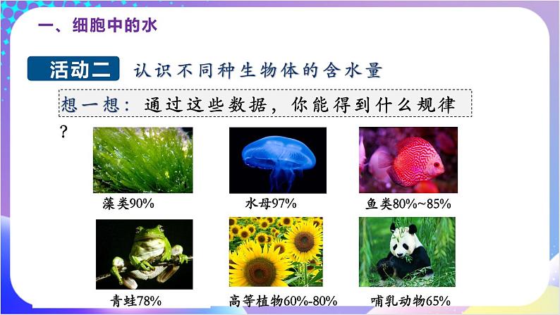 人教版高中生物必修一 2.2《细胞中的无机物》（课件)08