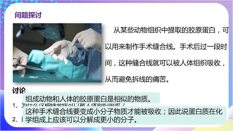 人教版高中生物必修一 2.4 《蛋白质是生命活动的主要承担者》（课件）08