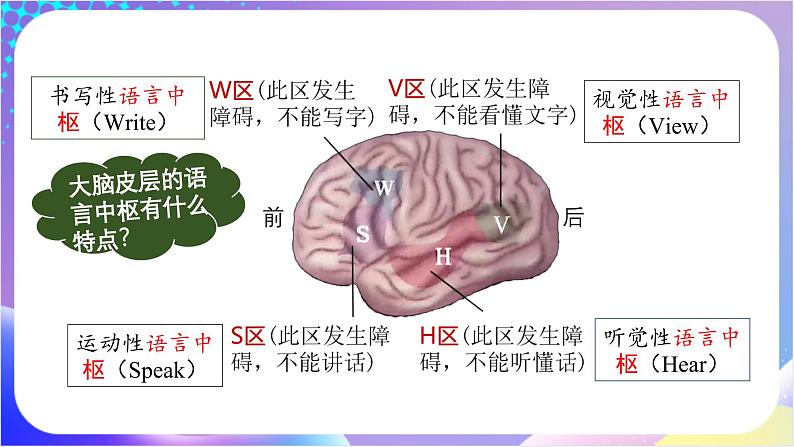 人教版高中生物必修一 2.5《脑的高级功能》（课件）08