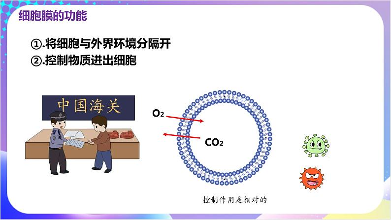 人教版高中生物必修一 3.1《细胞膜的结构和功能》（课件）06