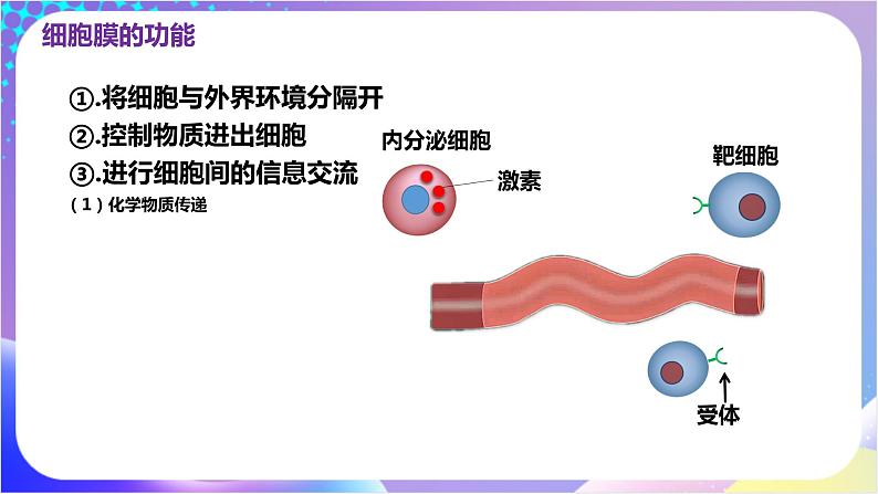 人教版高中生物必修一 3.1《细胞膜的结构和功能》（课件）07