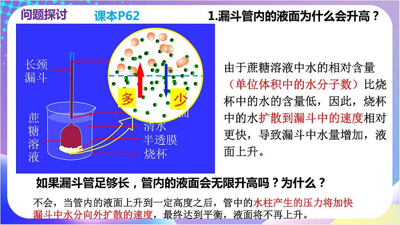 人教版高中生物必修一 4.1《被动运输》（课件）08