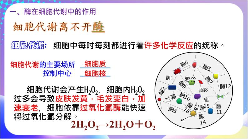 人教版高中生物必修一 5.1.1《酶的作用和本质》（课件）04