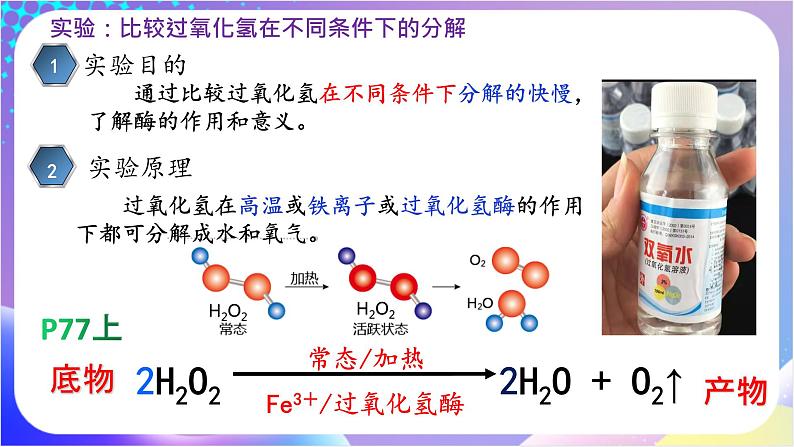 人教版高中生物必修一 5.1.1《酶的作用和本质》（课件）05