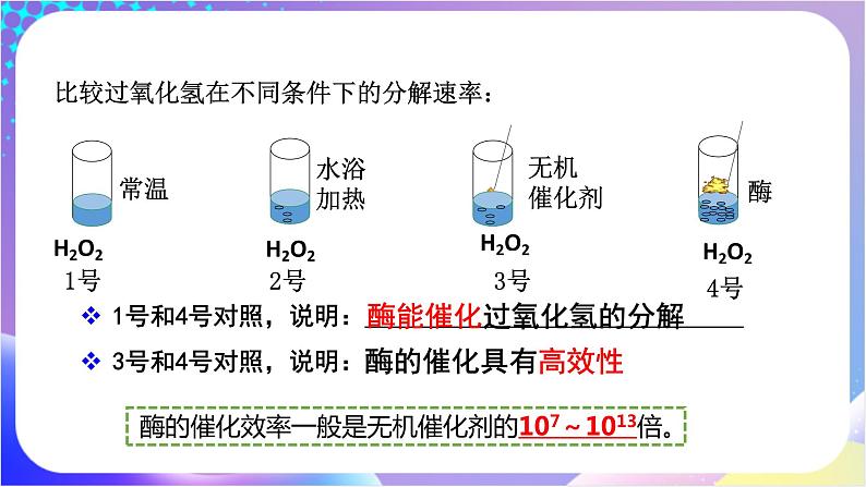 人教版高中生物必修一 5.1.2《酶的特性》（课件)02