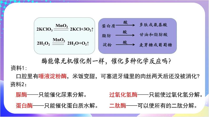 人教版高中生物必修一 5.1.2《酶的特性》（课件)06