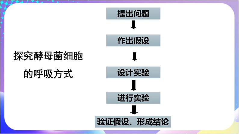 人教版高中生物必修一 5.3《细胞呼吸的原理和应用》（课件）07