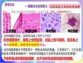 人教版高中生物必修一 6.2 《细胞的分化》(课件)