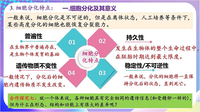 人教版高中生物必修一 6.2 《细胞的分化》(课件)07