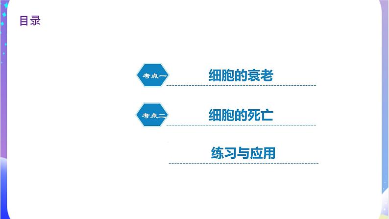 人教版高中生物必修一 6.3《细胞的衰老和死亡》课件04