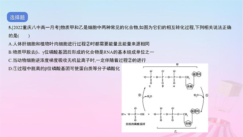 2023_2024学年新教材高中生物测试二学业水平等级性测试卷(期末卷)课件新人教版必修108