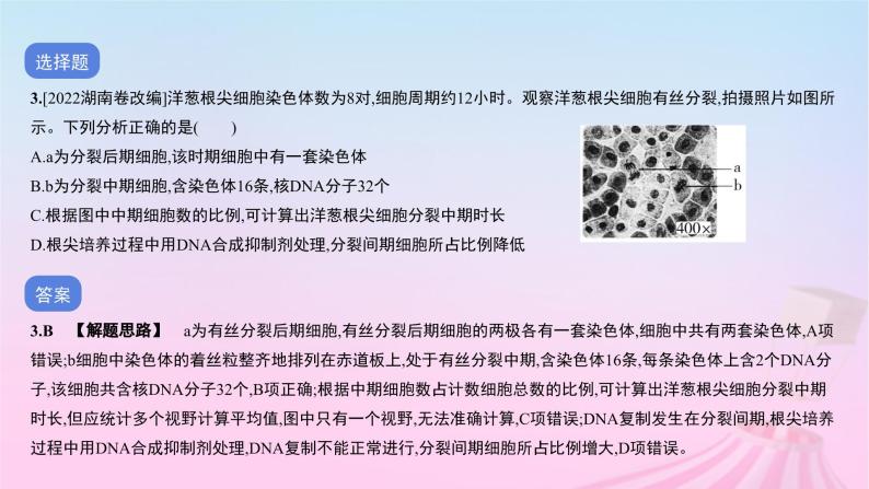 2023_2024学年新教材高中生物专题三细胞的增殖分化衰老和死亡作业课件新人教版必修105