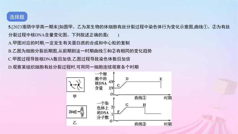 2023_2024学年新教材高中生物专题三细胞的增殖分化衰老和死亡作业课件新人教版必修107